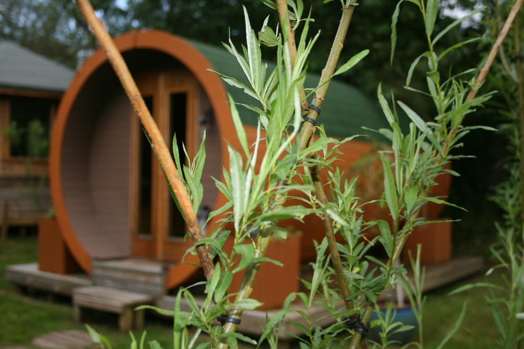 Bcc Lochness Hostel Pods Bearnock Exteriör bild