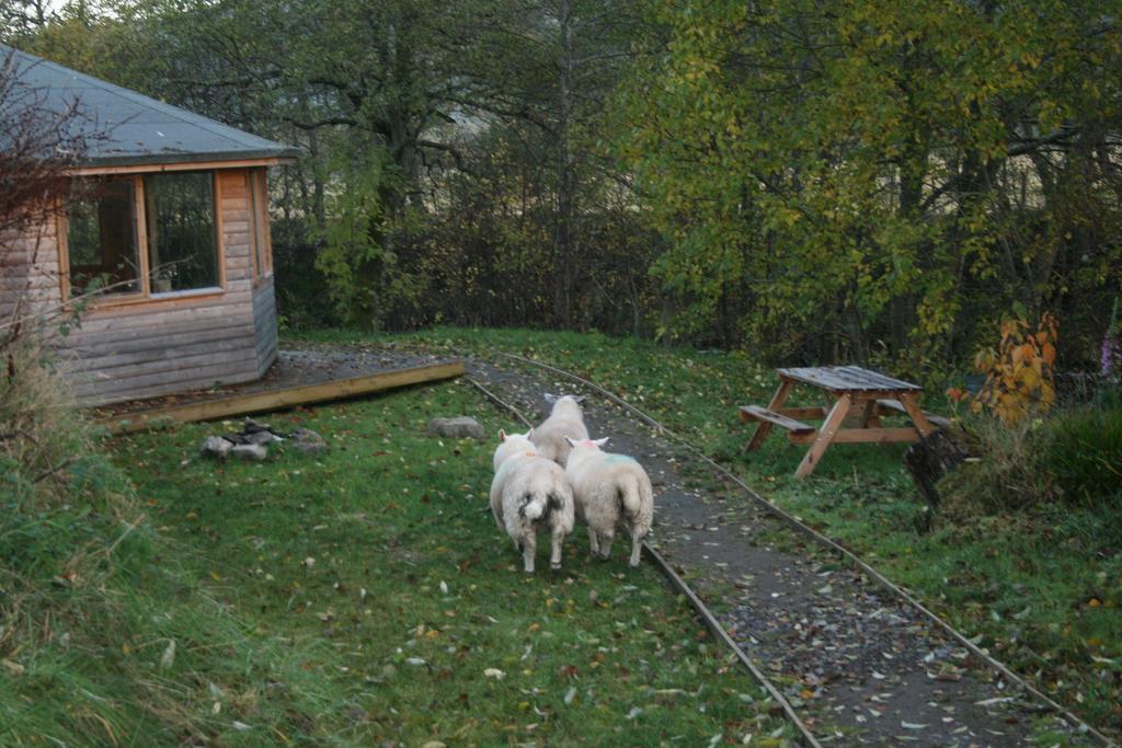 Bcc Lochness Hostel Pods Bearnock Exteriör bild