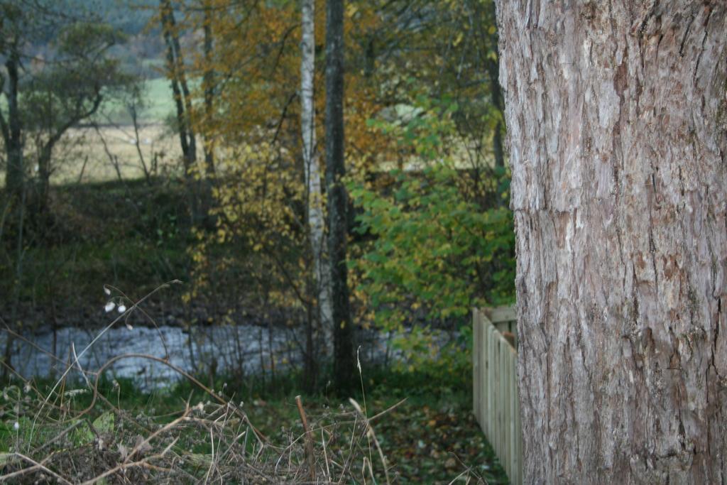 Bcc Lochness Hostel Pods Bearnock Rum bild