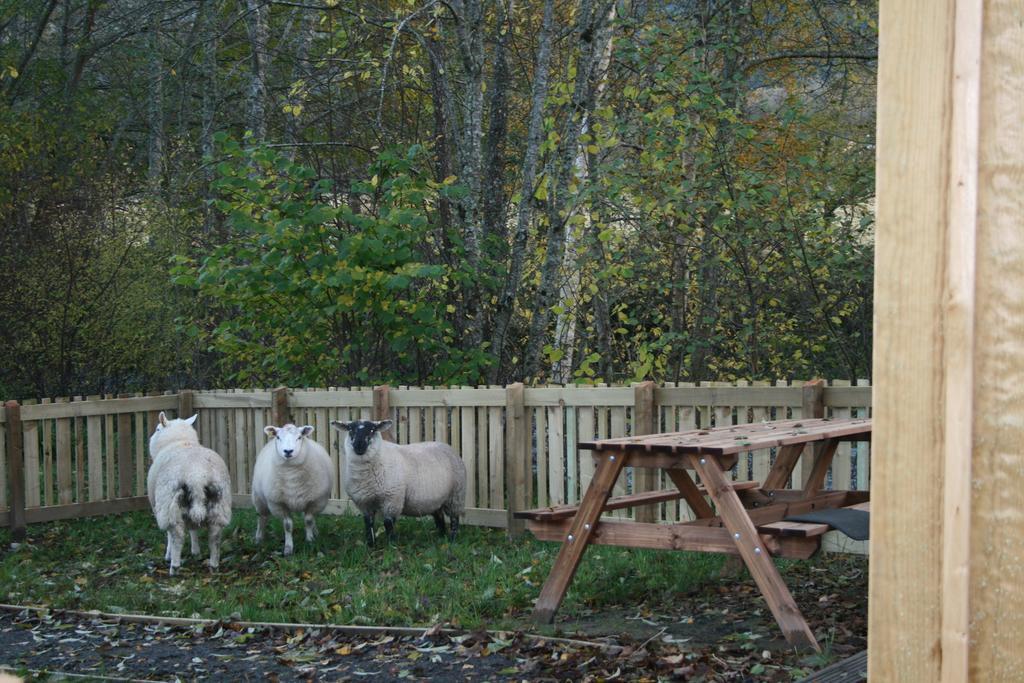 Bcc Lochness Hostel Pods Bearnock Rum bild