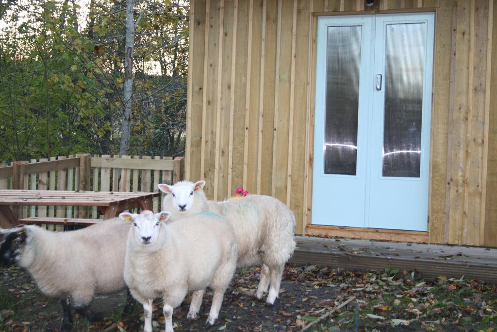 Bcc Lochness Hostel Pods Bearnock Rum bild