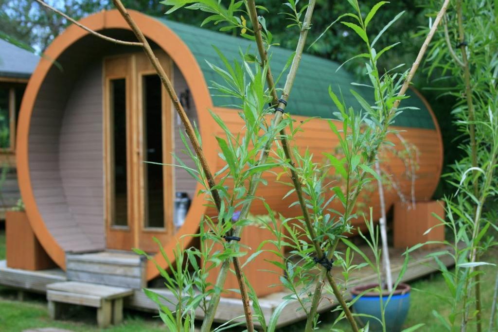 Bcc Lochness Hostel Pods Bearnock Exteriör bild