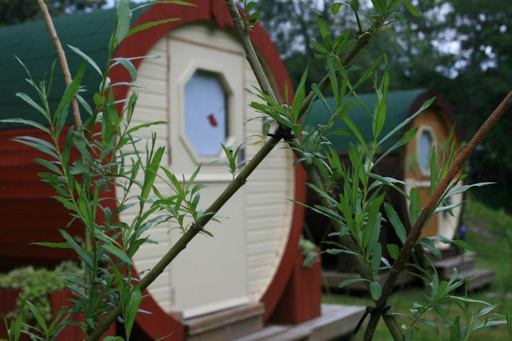 Bcc Lochness Hostel Pods Bearnock Rum bild